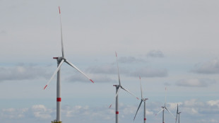 Feu vert environnemental pour la création d'un parc éolien en mer près de Dunkerque