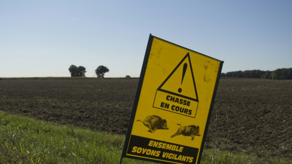 Cher: six chasseurs interpellés pour "des faits de braconnage d'une particulière gravité"