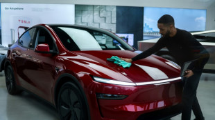 Plombé par des ventes en chute libre en Europe, Tesla dévisse à Wall Street 