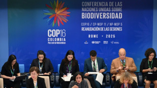 COP16: le monde reprend à Rome l'âpre débat pour financer la sauvegarde de la nature