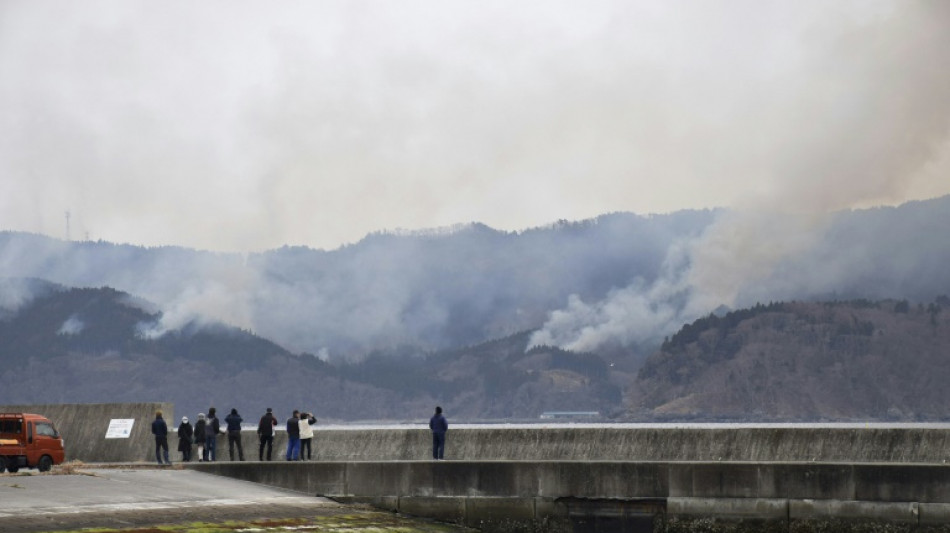 Le Japon confronté à son pire incendie de forêt en 50 ans, toujours pas maîtrisé