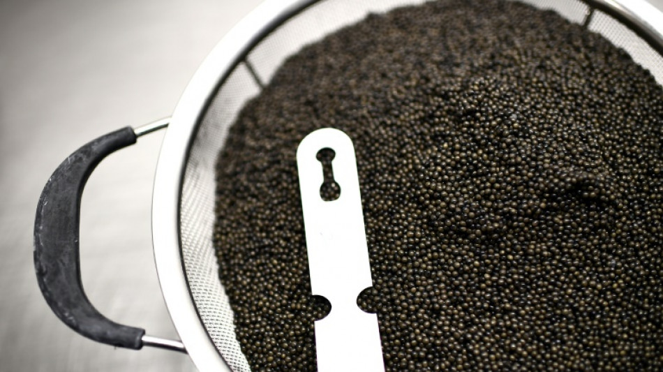 Aquaculture: le caviar d'Aquitaine obtient de l'UE sa certification IGP