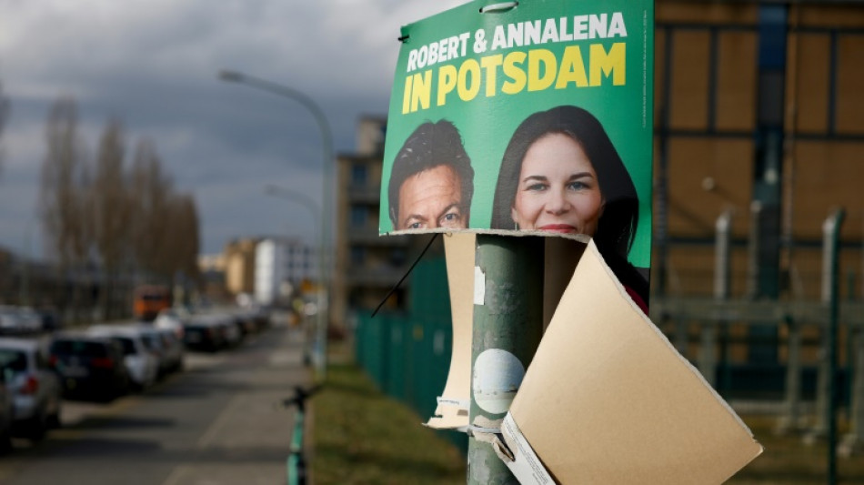 Grünen-Europaabgeordneter rechnet mit Wahlkampagne seiner Partei ab