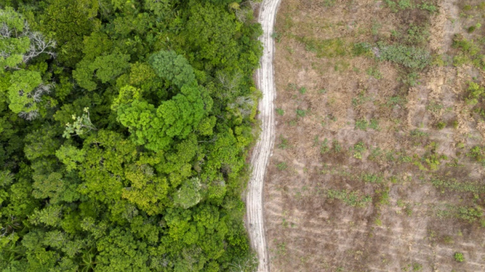 'Matter of survival': Nations spar over nature funding at UN talks