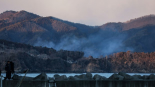 Un muerto y cientos de evacuados por un incendio en el norte de Japón