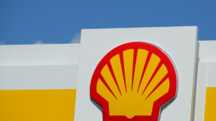 Pays-Bas: des ONG déboutées en appel par la justice dans une affaire climatique contre Shell