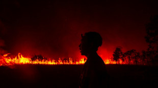 Firefighters battle peatland blazes as haze shrouds Indonesian city