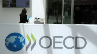 OECD hebt Wachstumsprognose für Weltwirtschaft und warnt vor Protektionismus