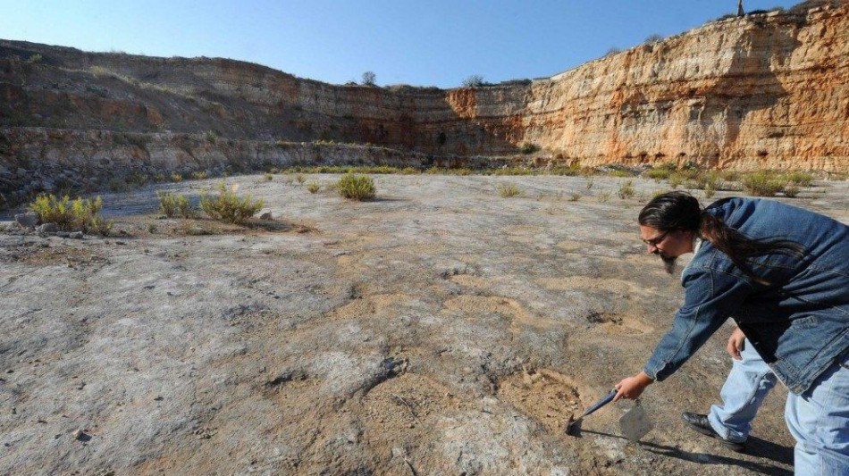 Orme di dinosauri svelano l'ultimo ponte tra Africa e America