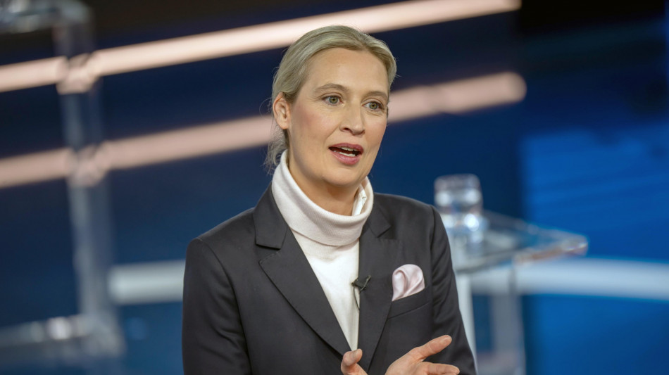 Scholz e Merz attaccano Weidel, l'AfD partito di estrema destra