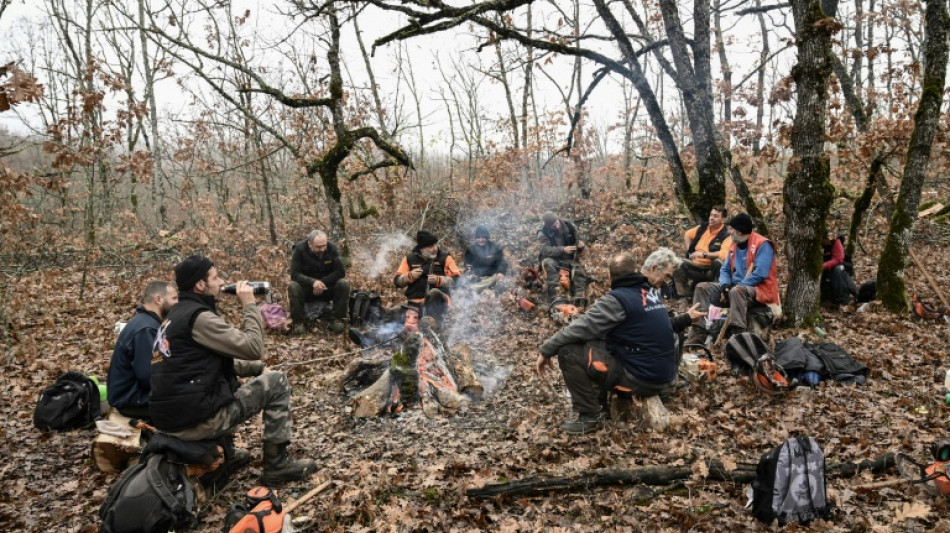 Greek woodcutters give energy crisis the chop