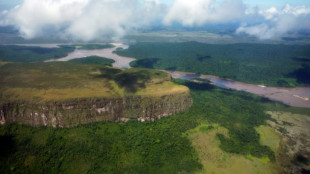 Venezuela: le "Tsar de la beauté" défend une fête controversée dans un parc national