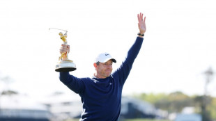 Golf: Rory McIlroy remporte son 2e Players Championship