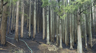 Controlado el peor incendio forestal de Japón desde hace medio siglo