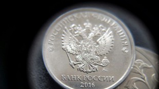 Russian central bank holds key rate at two-decade high