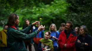 Dans un parc londonien, des cueilleurs en quête de plantes comestibles