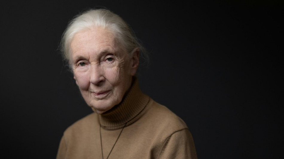 La primatóloga británica Jane Goodall alerta de que "el tiempo apremia" y urge a la COP16 a actuar 