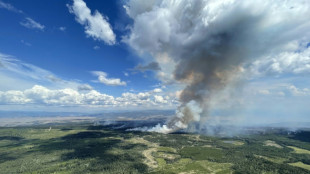 Evacuation de Yellowknife dans le Grand Nord canadien en raison des feux de forêt