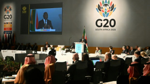 Global stability threatened by backslide in cooperation: S.Africa