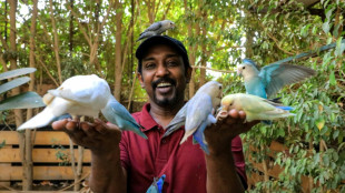 Sudan sanctuary offers haven for exotic birds