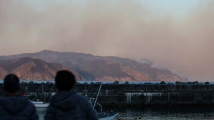 Des milliers d'habitants évacués dans le nord du Japon, ravagé par des feux de forêts records