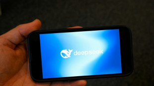 Ministerios y la policía surcoreanos bloquean el acceso a DeepSeek en sus computadoras