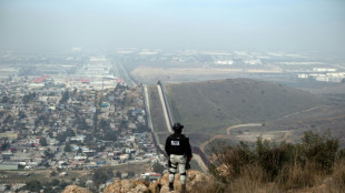 Migração irregular, o objetivo que une militares de México e EUA