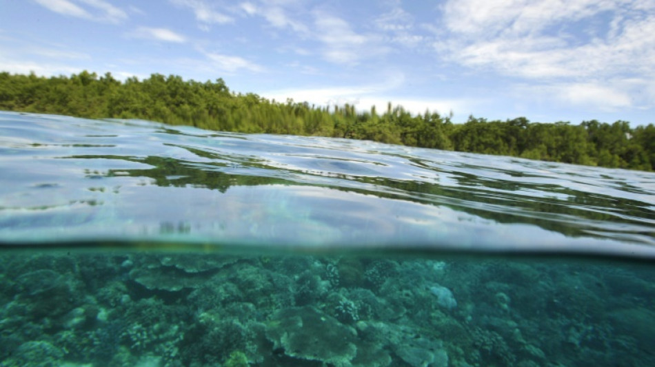 Indonesian islanders sue cement giant Holcim over climate damage