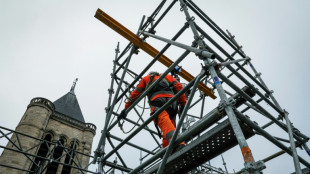 Amputée près de deux siècles, la basilique des rois de France va retrouver sa flèche