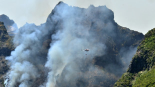 Portugal seeks EU help as wildfire threatens UNESCO-listed forest