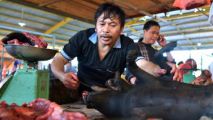 'Extreme' Indonesian market ends dog, cat meat trade