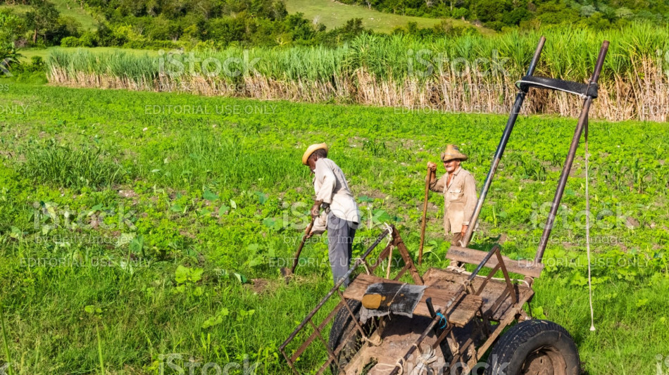 Cuba, una nuova legge per dare terre in usufrutto agli stranieri