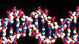 Scoperti 16 nuovi geni che aumentano il rischio di Alzheimer