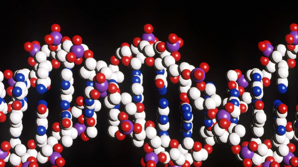 Trovate 380 mutazioni del Dna indipensabili a 13 forme di tumore