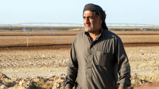 Syrian farmers abandon the land for steadier jobs