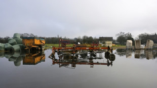 L'agriculture, victime et solution face aux inondations