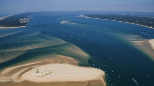 Le maire d'Arcachon entendu dans l'enquête sur la pollution du Bassin