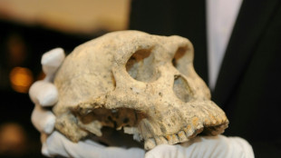 Meet 'Pink', the new face of human evolution in Europe