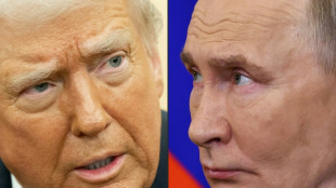 'Patience paid off': Putin out of shadow after Trump call