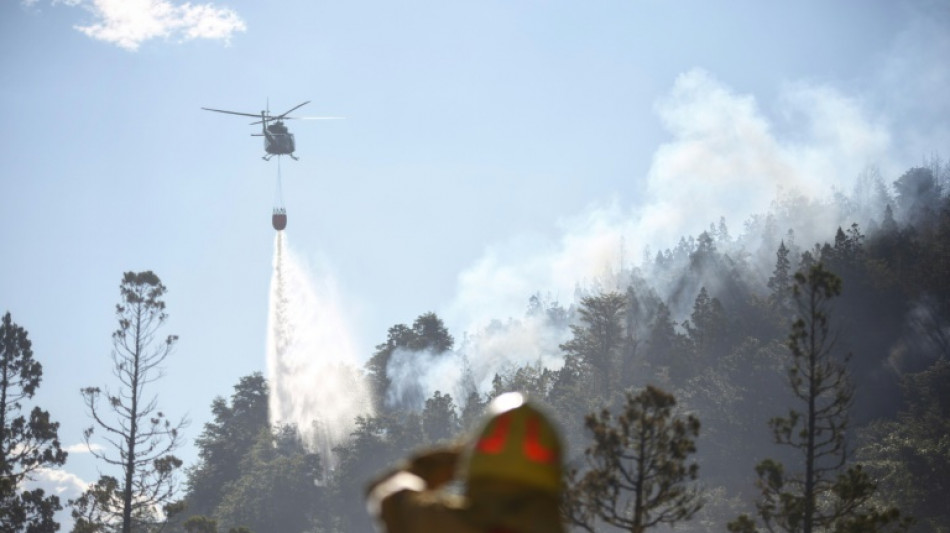 Argentine: un incendie détruit 600 hectares d'un site Unesco