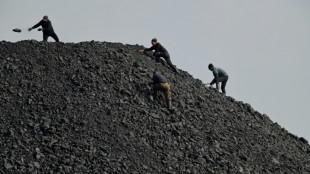 China coal production threatens climate goals: study