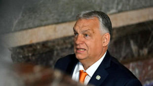 Orban contro l'Europa, 'su Ucraina parole prive di valore'