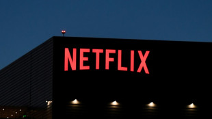 Shareholder sues Netflix over subscriber slip