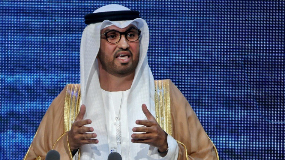 Oil boss as climate talks host: what's behind UAE's choice?