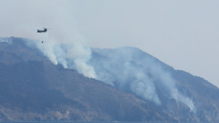 Le nord-est du Japon ravagé par son pire feu de forêt depuis 1992