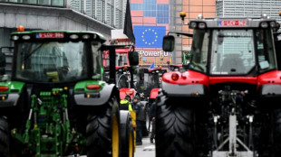 Un an après les manifestations, l'UE dévoile sa "vision" pour le monde agricole