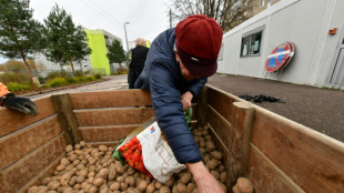 Erzeugerpreise in der Landwirtschaft ziehen erneut an