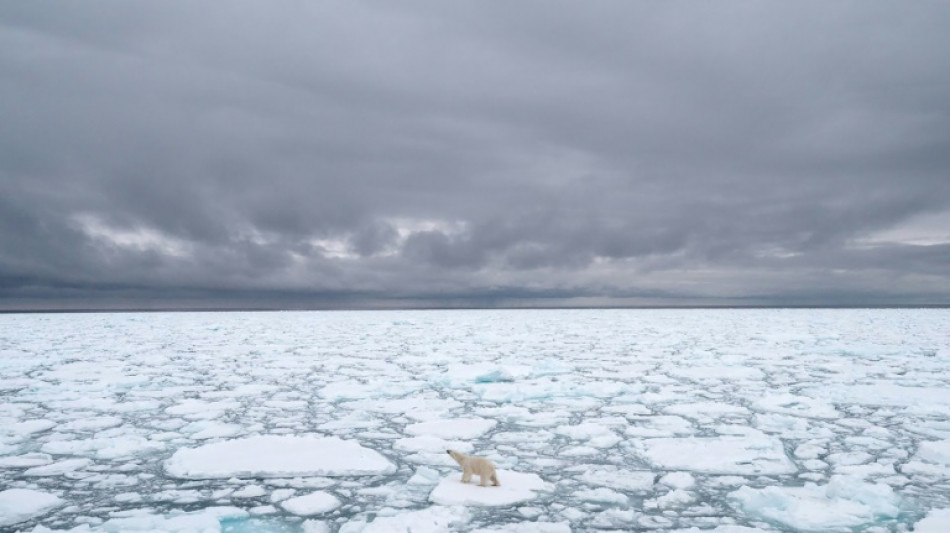 World's sea ice cover hits record low in February