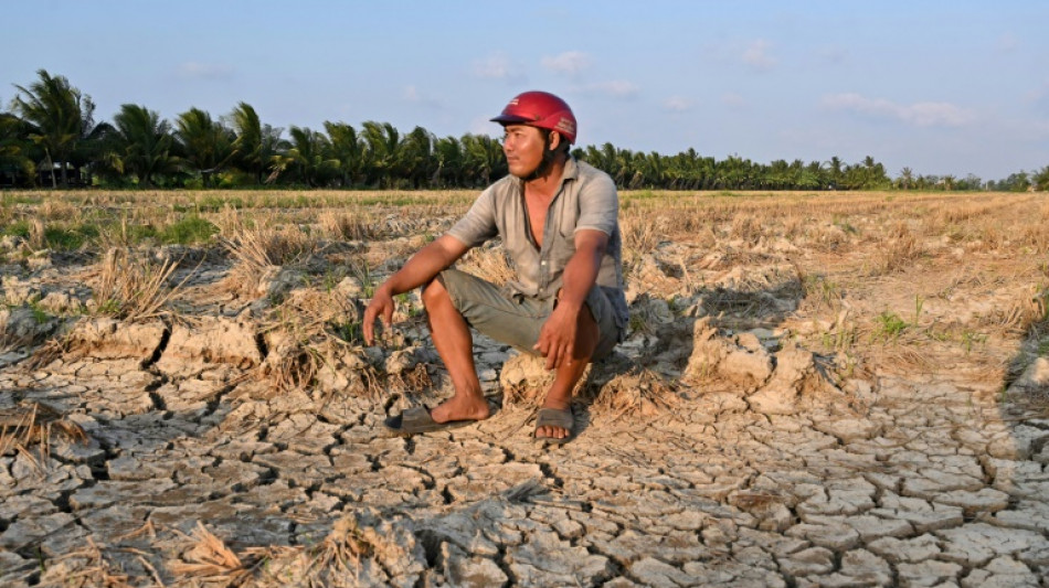 Vietnam farmers struggle for fresh water as drought brings salinisation