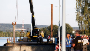 Béluga dans la Seine: l'opération d'extraction a débuté